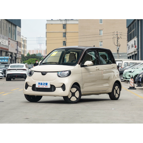 2023 Dongfeng Fev Tigers Kecil EV Kereta untuk Dewasa Versi 4 Pintu 4 Tempat Tempat Tinggi Berkesan Tinggi Kereta Elektrik Mini